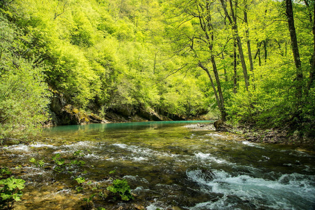 Neretva, Uloški buk