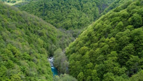 Podnesena žalba Sekreterijatu Bernske konvencije zbog planiranih osam hidroenergetskih objekata na Neretvi