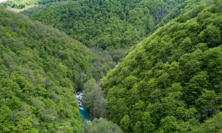 Podnesena žalba Sekreterijatu Bernske konvencije zbog planiranih osam hidroenergetskih objekata na Neretvi